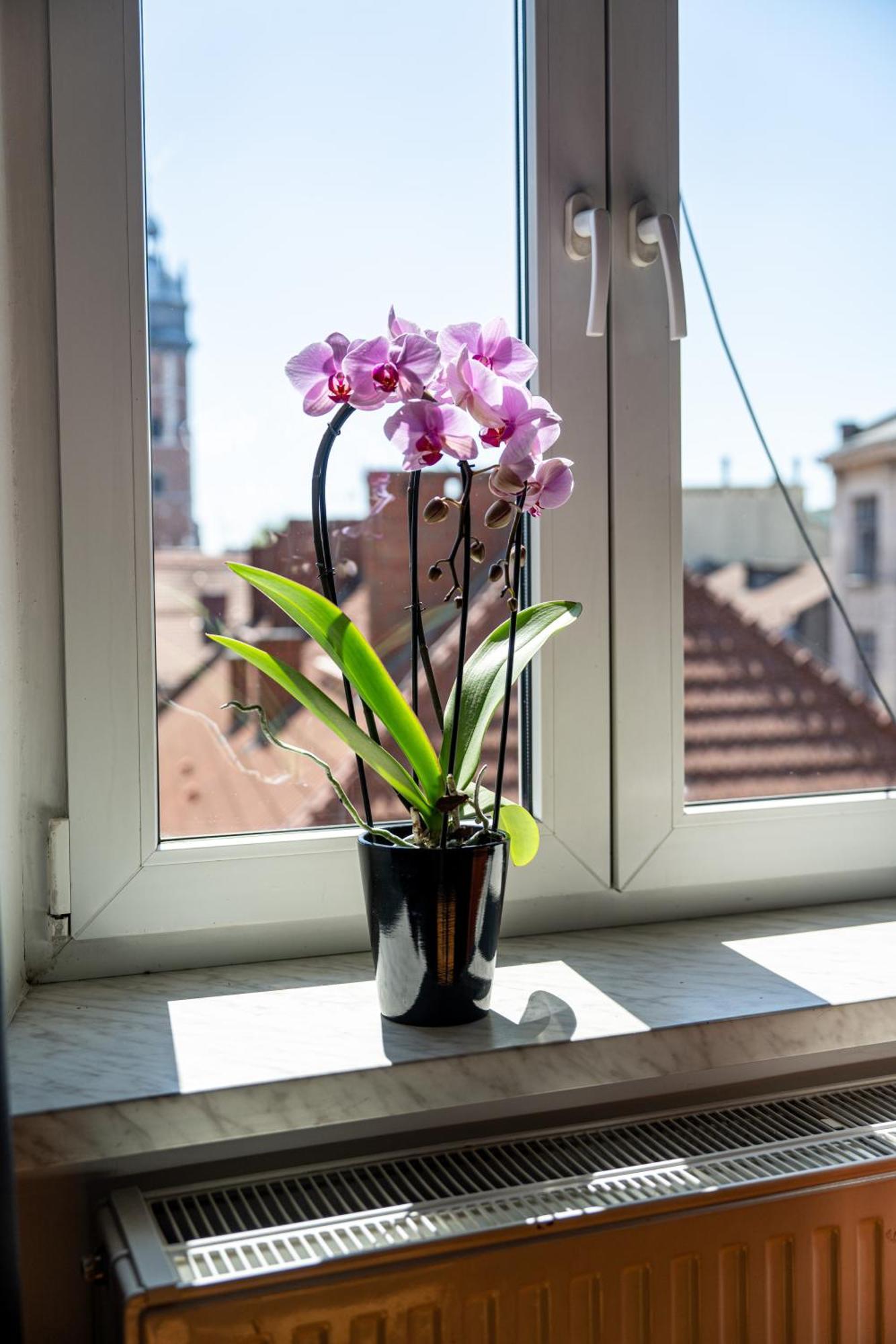 Vista View Apartment Krakow Exterior photo